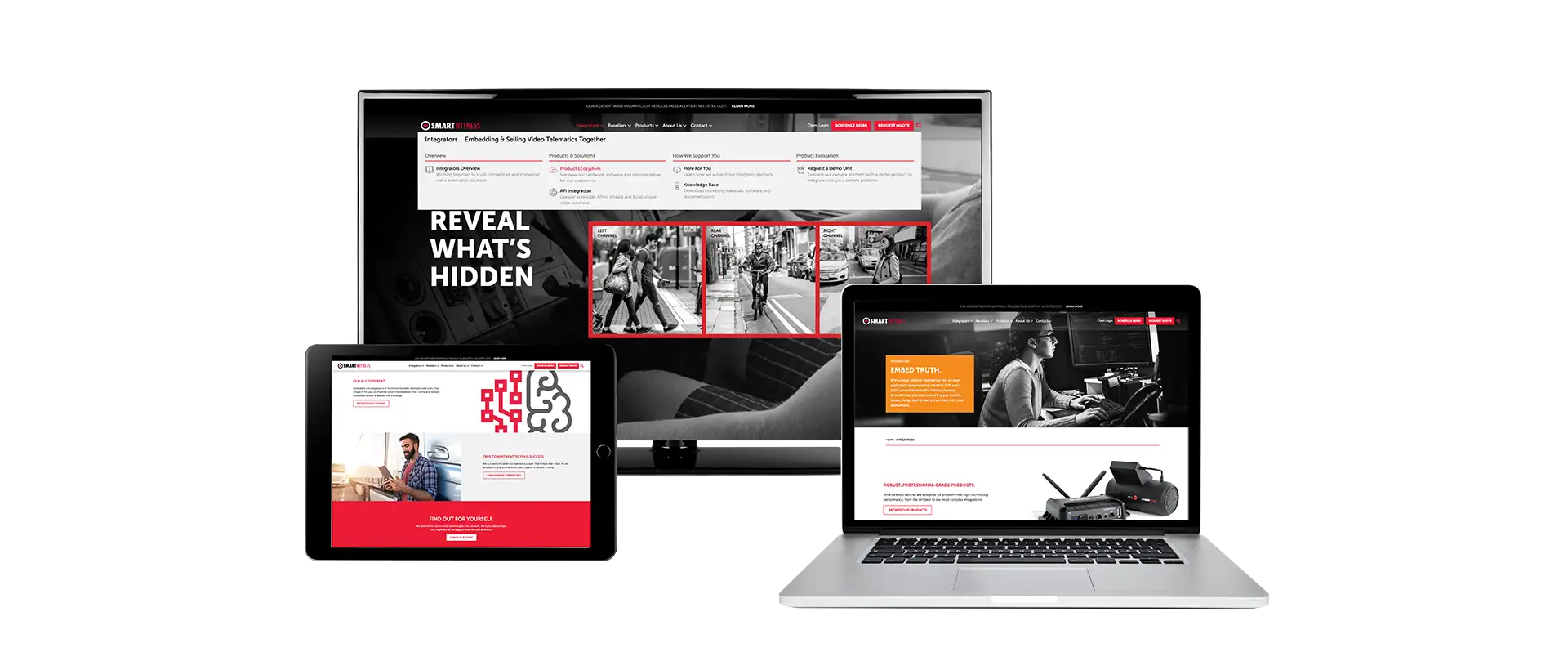 Smart Witness Website